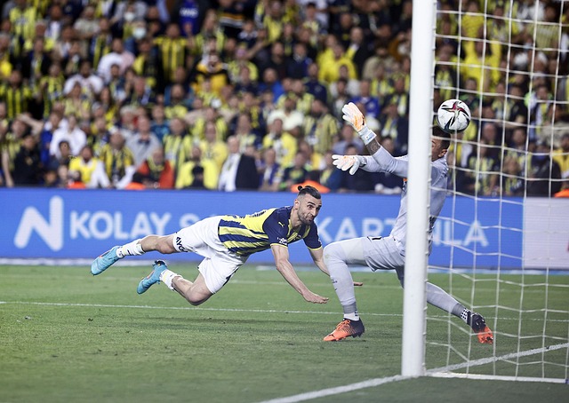 的西班牙球 的西班牙球