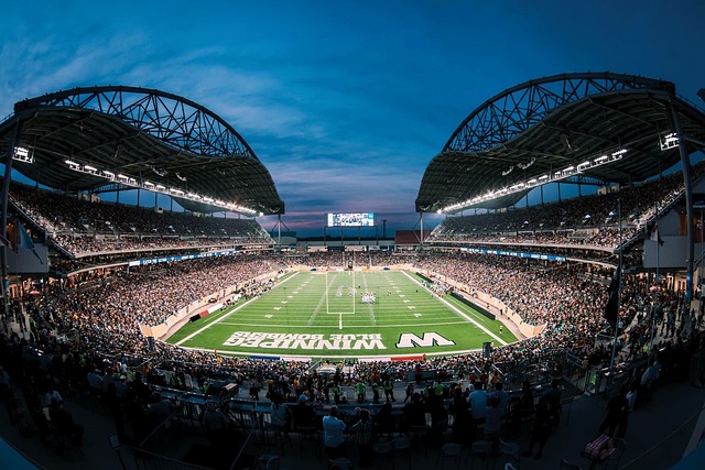 霸的态势 霸的态势