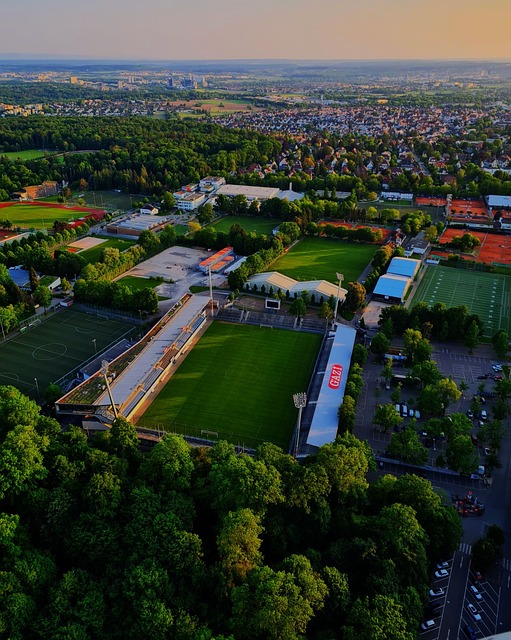 成功的关键 成功的关键