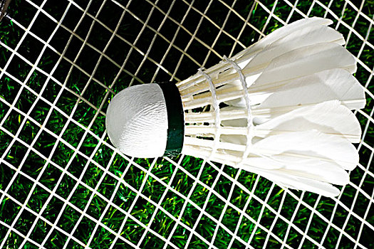 心悦诚服 心悦诚服